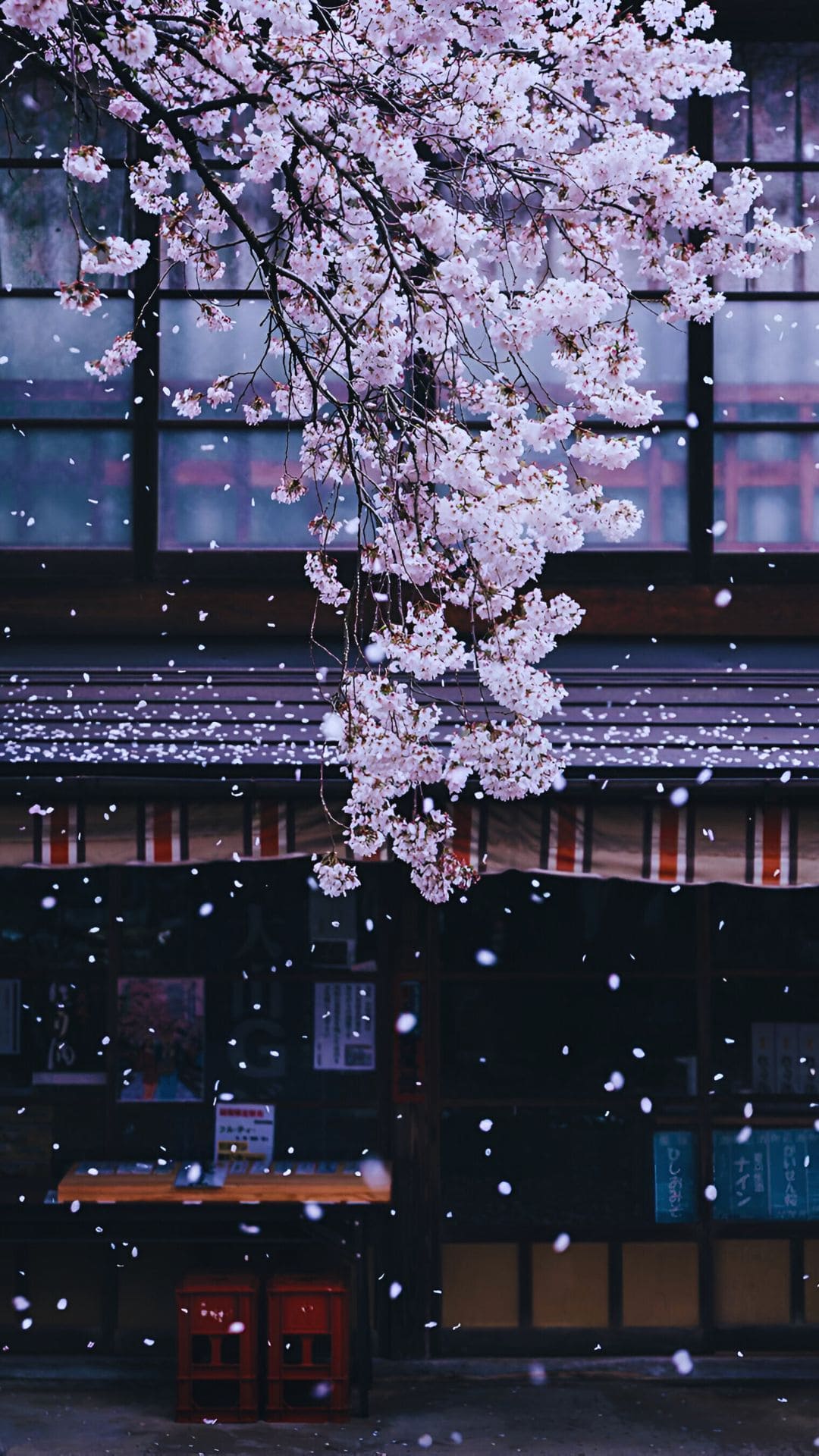 Aesthetic Spring HD Image