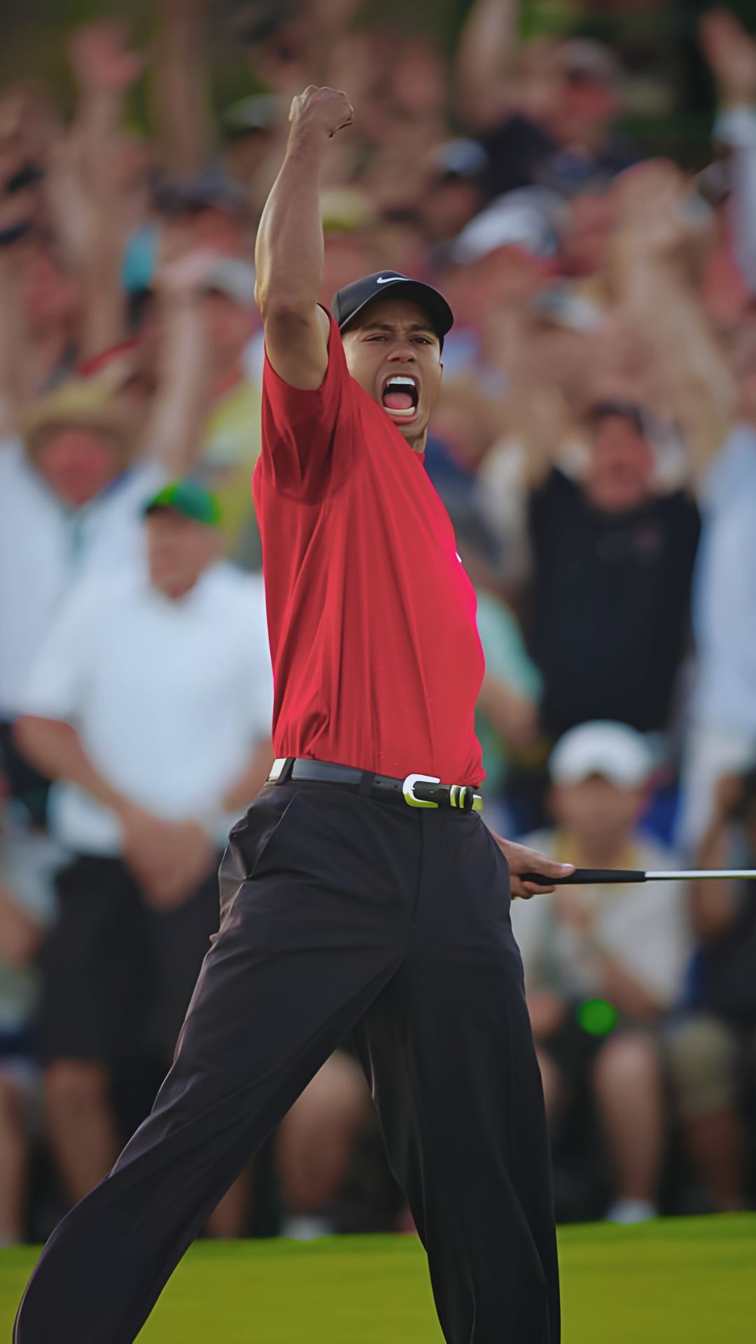 Tiger Woods Celebration Wallpaper