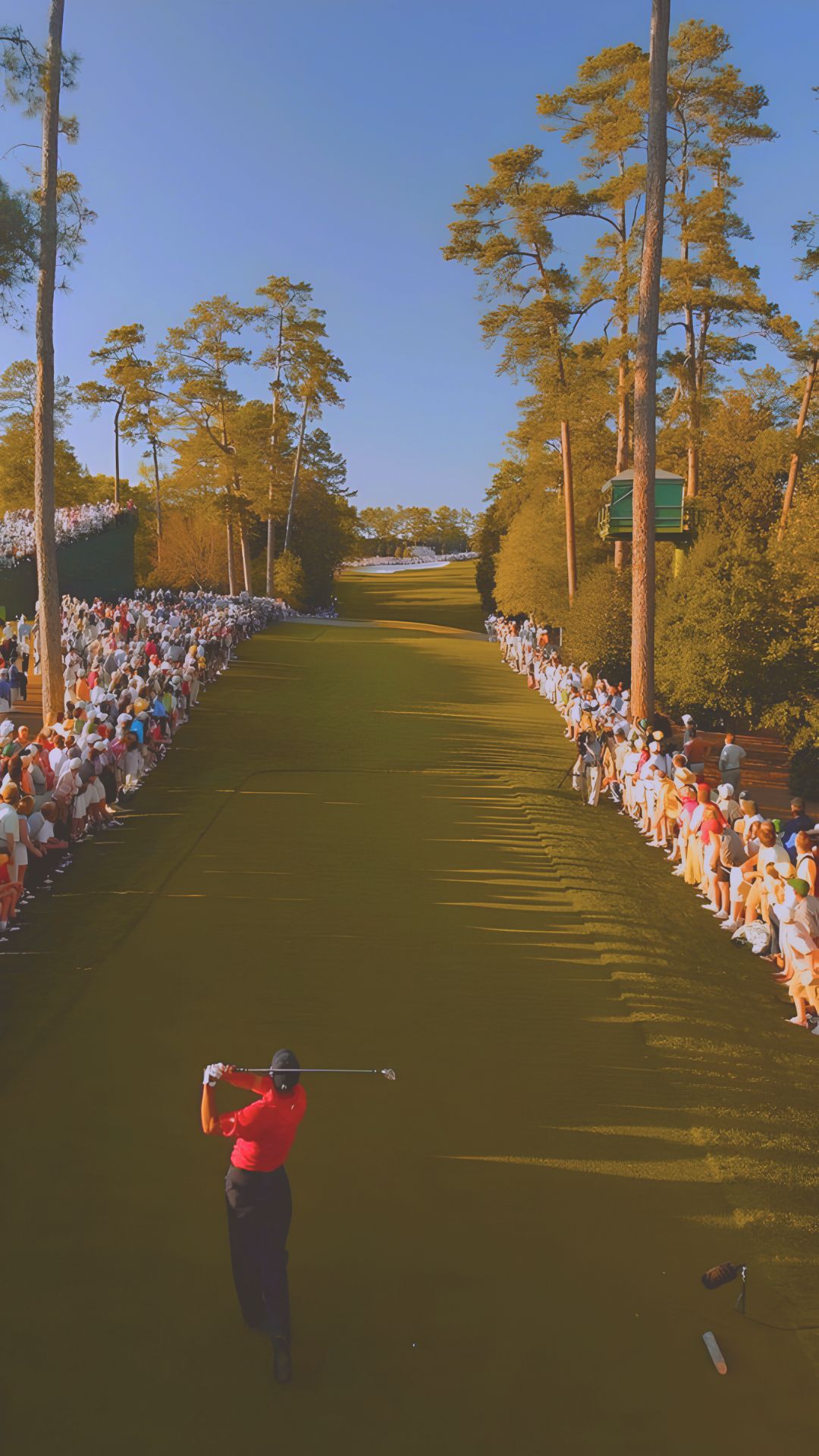 Tiger Woods Wallpaper Masters 2019