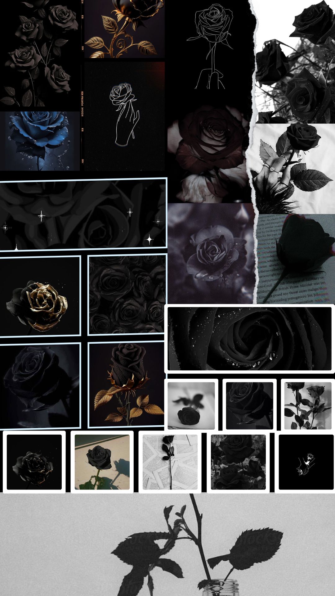 Black Rose Aesthetic Wallpaper 4K For iPhone