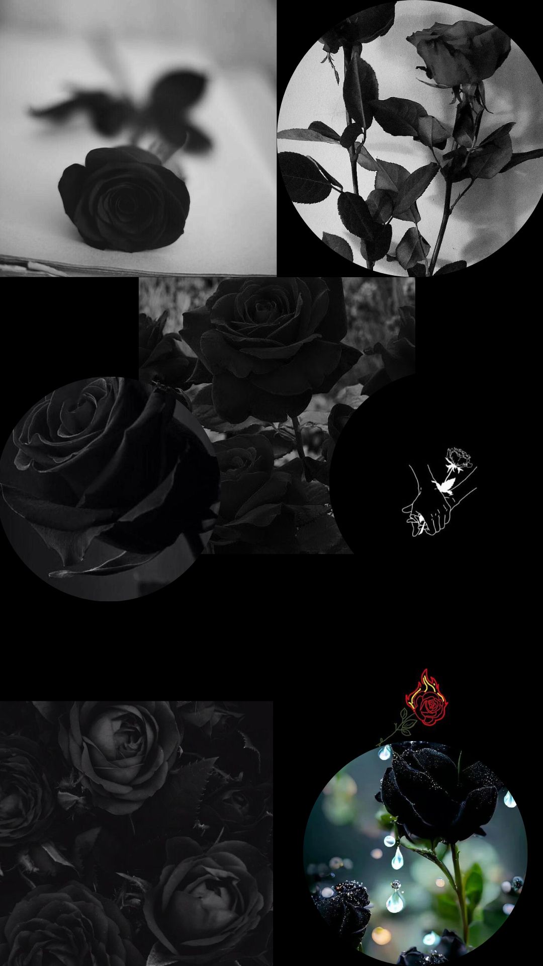 Black Rose Aesthetic Wallpaper Android