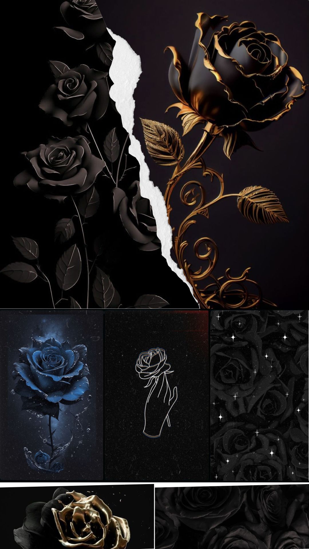 Black Rose Aesthetic Wallpaper Download
