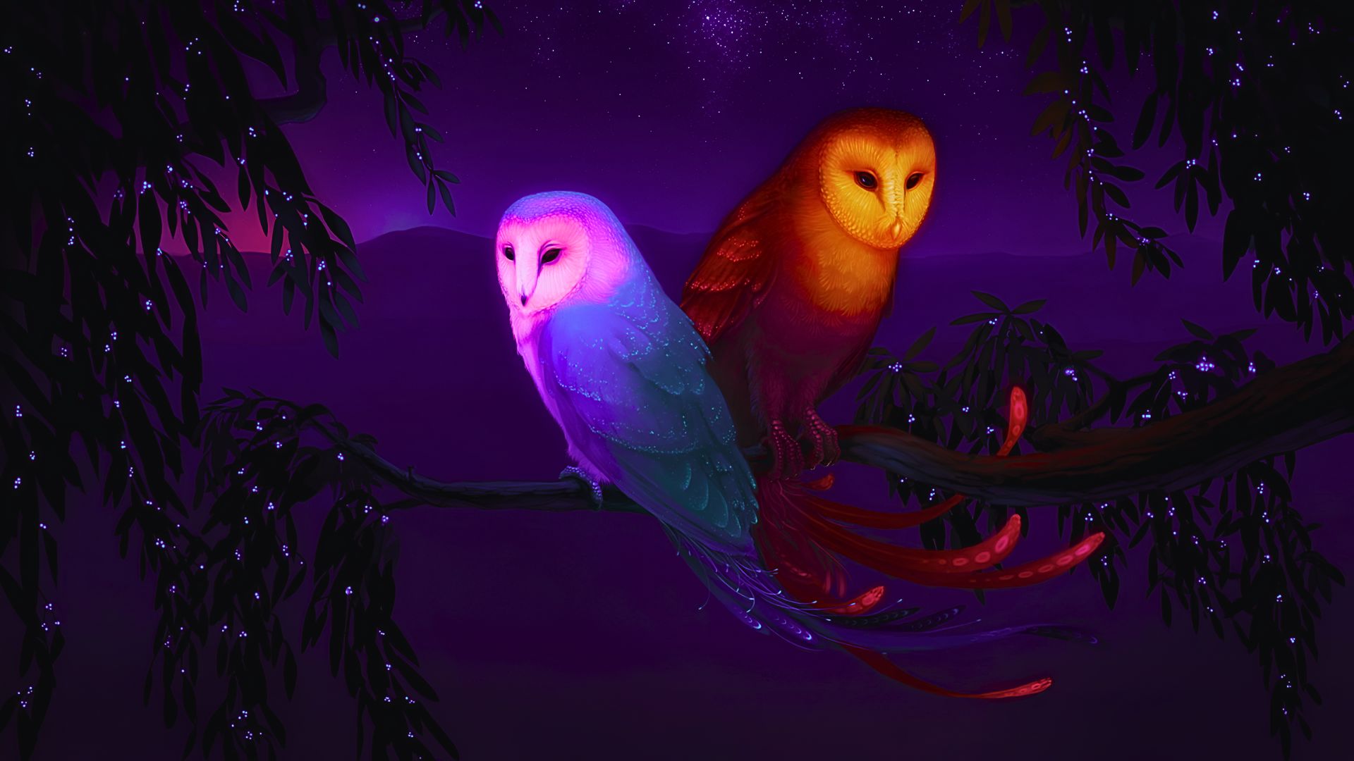 Owl Desktop Wallpaper