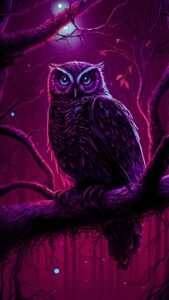 Owl Wallpaper 4K For Mobile