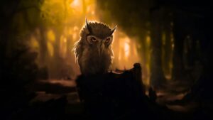 Owl Wallpaper 4K HD