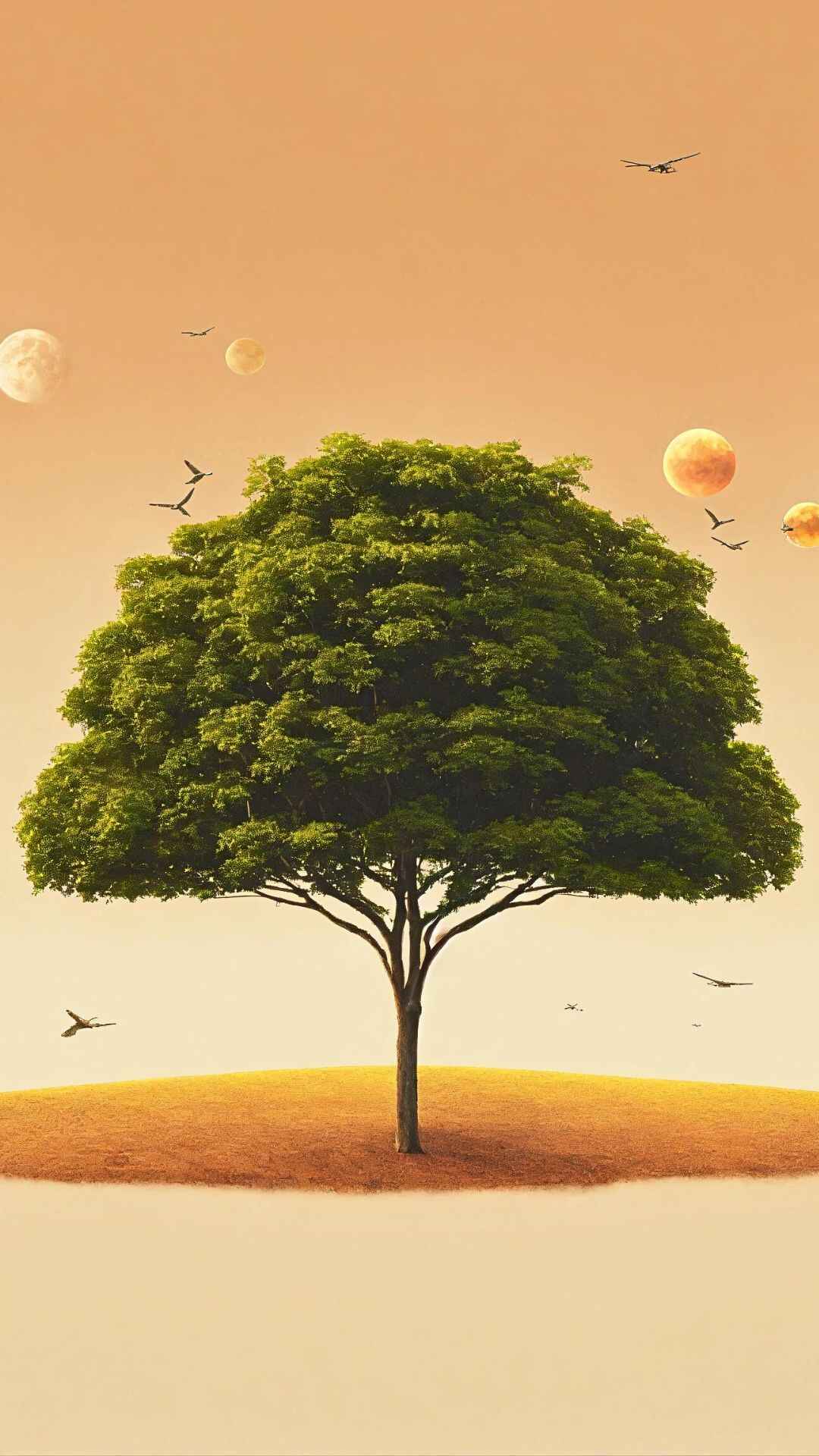 Tree Wallpaper HD