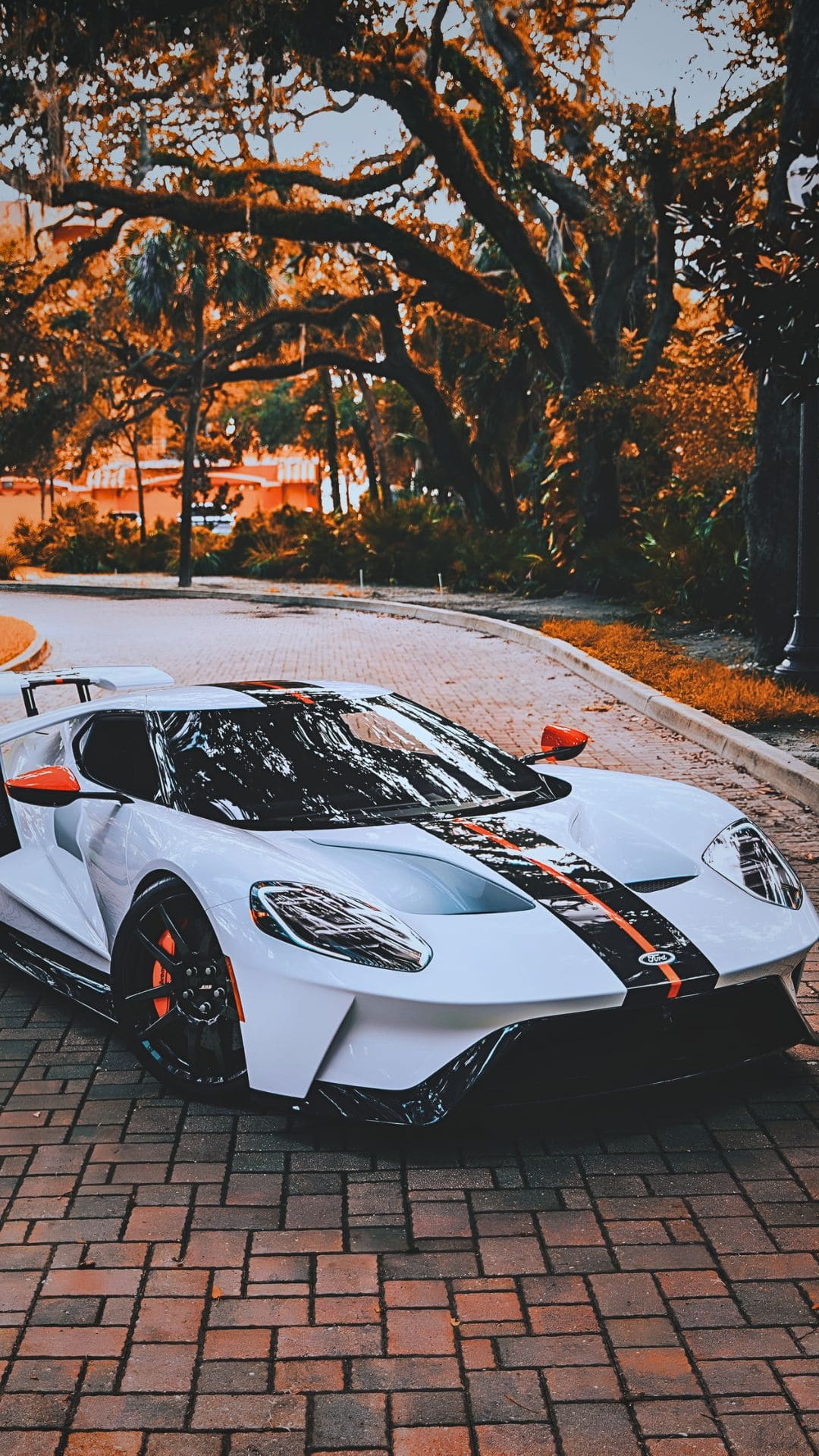 White Ford GT Wallpaper