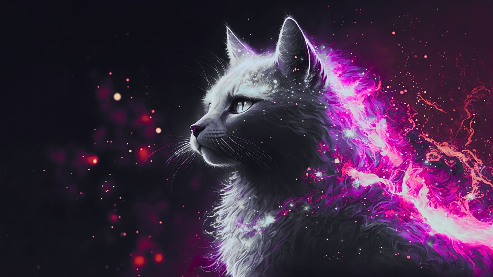 Cat Desktop Wallpaper