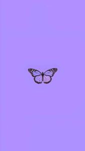 iPhone Butterfly Wallpaper